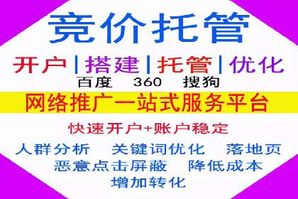 SEM运营公司经典案例点评